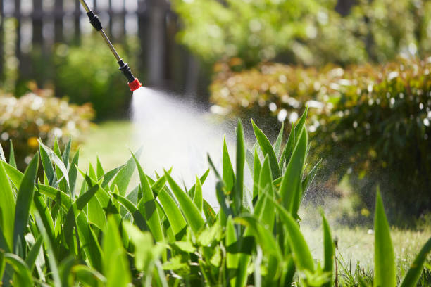 Tamper-Resistant Bait Stations for Rodents in Beattyville