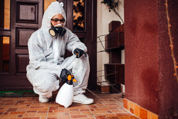 Attic and Crawl Space Rodent Treatment in Beattyville