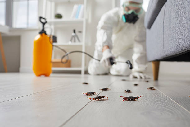 Commercial Rodent Management in Beattyville